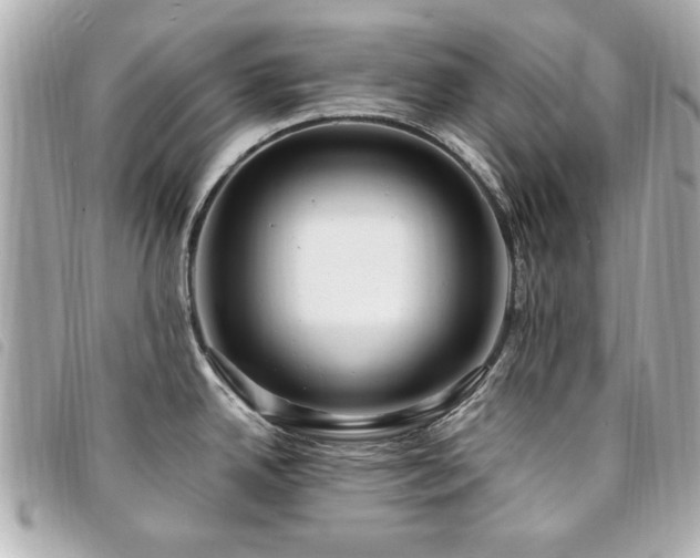 X0000094211342200710261203
