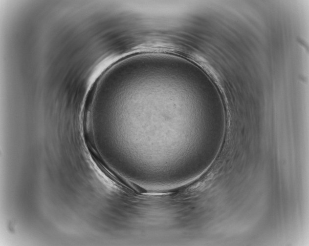X0000094211344200710261203