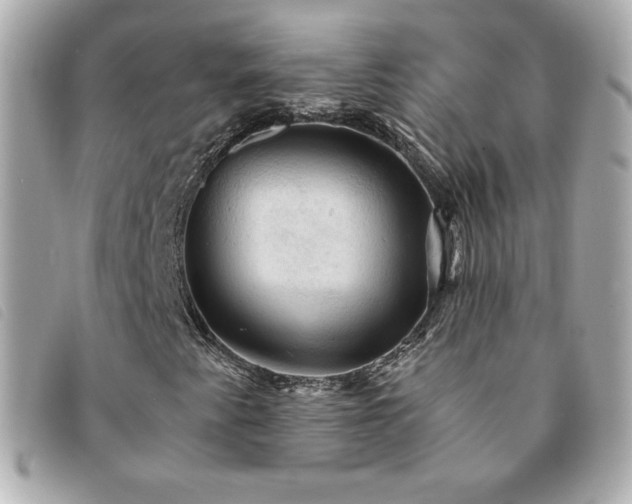 X0000094211345200710261202