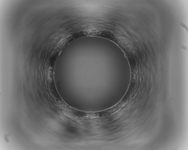 X0000094211346200710261202