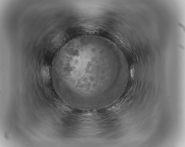 X0000094211347200710261202