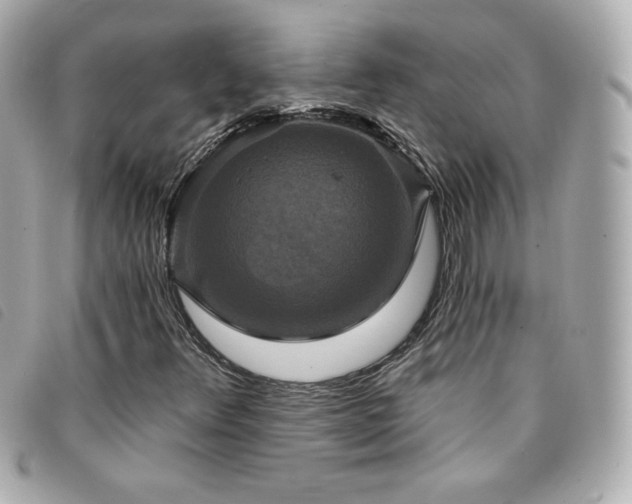 X0000094211348200710261202