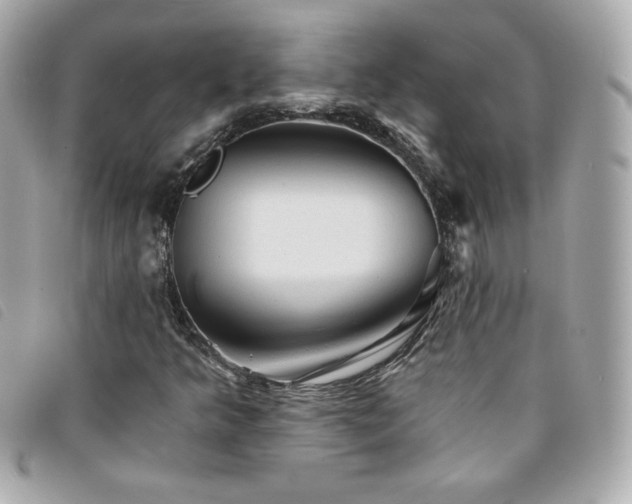 X0000094211349200710261202