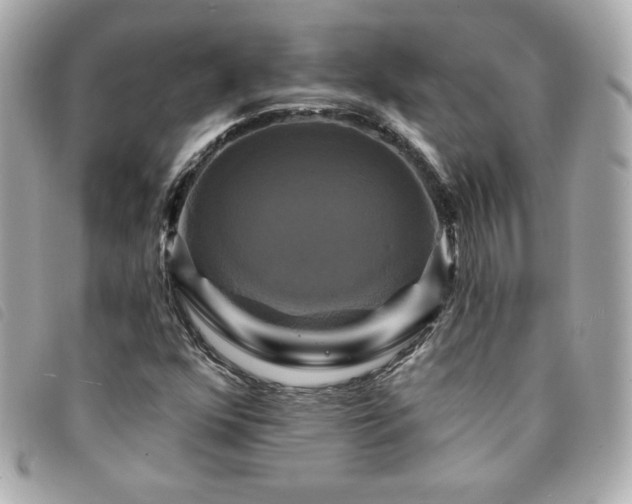 X0000094211352200710261202