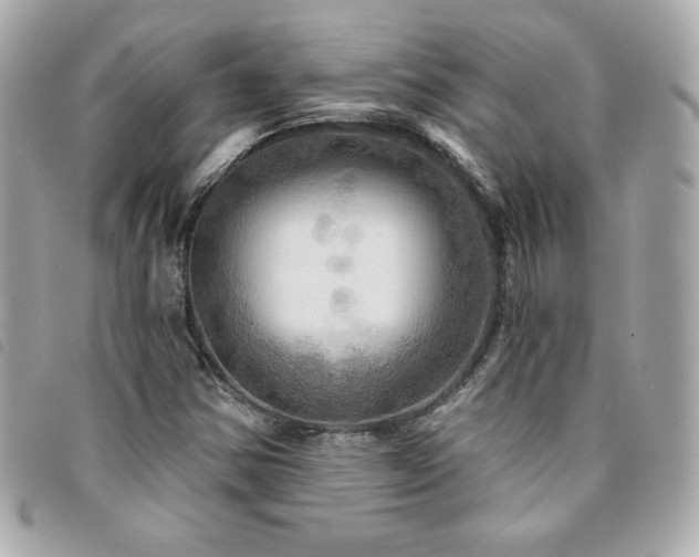 X0000094211354200710261202