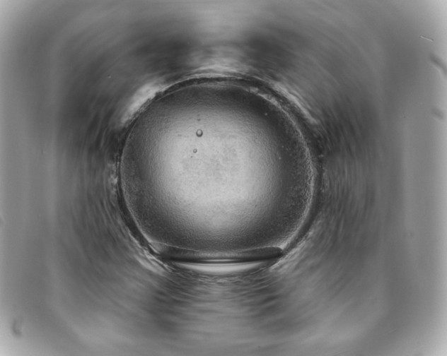 X0000094211355200710261202