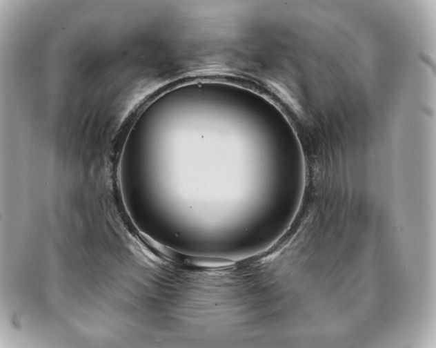 X0000094211356200710261202
