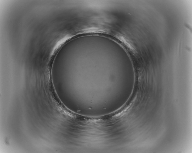 X0000094211358200710261202