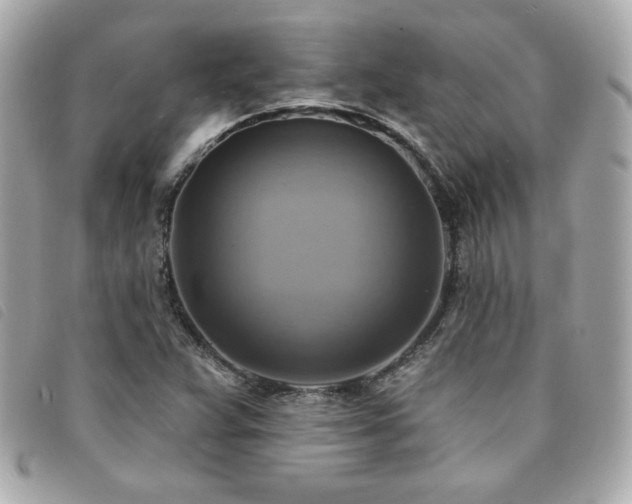 X0000094211359200710261202