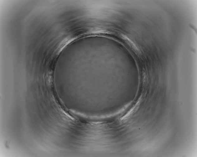 X0000094211361200710261202