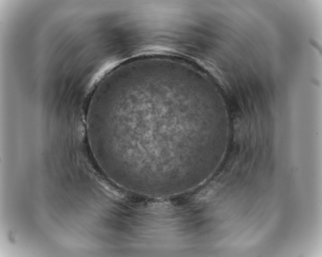 X0000094211363200710261202