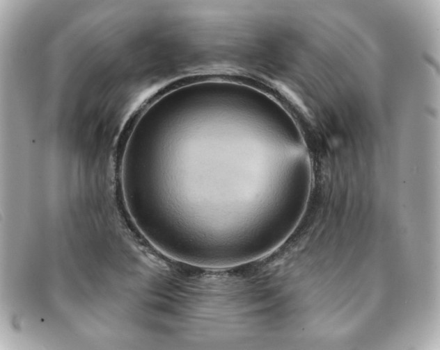 X0000094211364200710261202