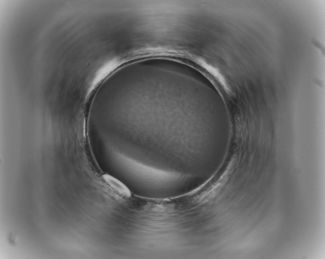 X0000094211365200710261202