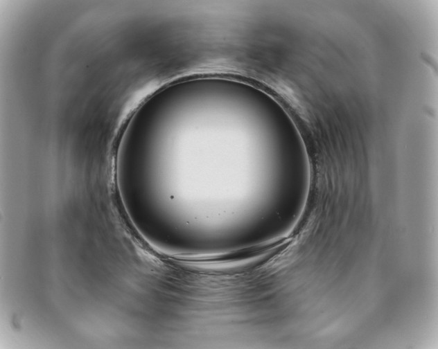 X0000094211366200710261202