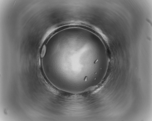 X0000094211368200710261202