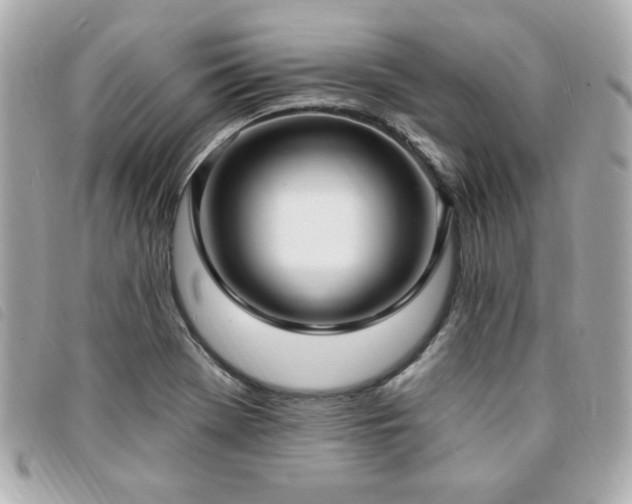 X0000094211369200710261202