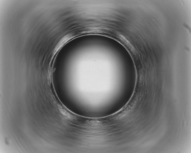 X0000094211370200710261202