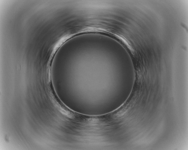 X0000094211371200710261202
