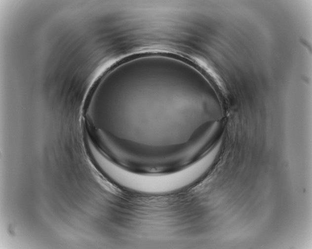 X0000094211372200710261202