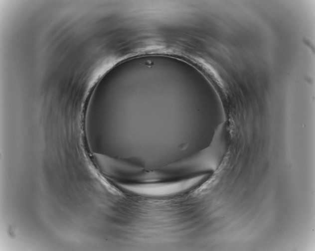 X0000094211373200710261202