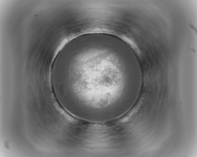 X0000094211374200710261202