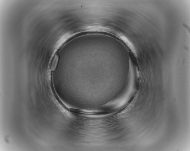 X0000094211376200710261202