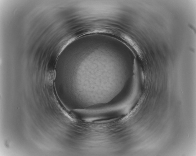X0000094211377200710261202