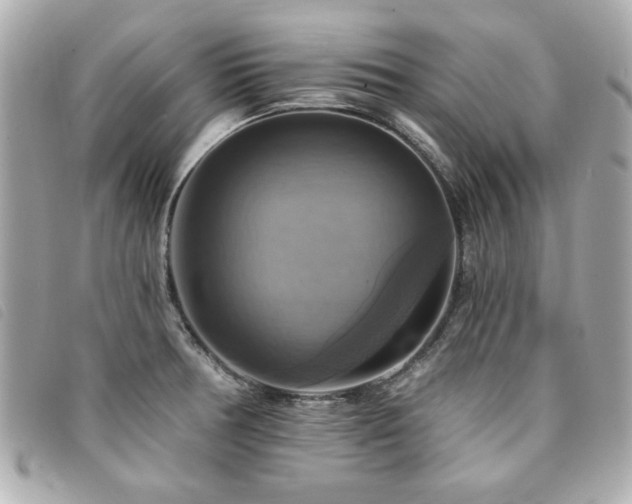 X0000094211378200710261202