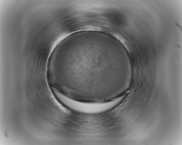 X0000094211379200710261202