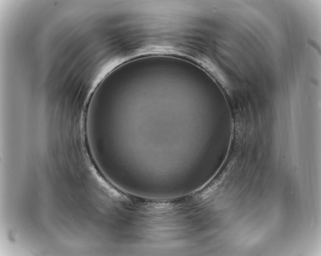 X0000094211382200710261202