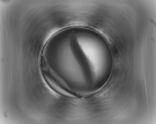 X0000094211383200710261202