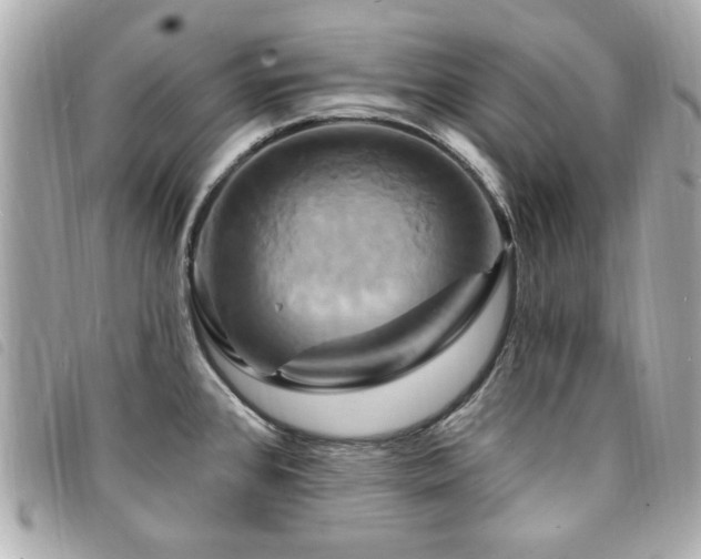 X0000094211384200710261202