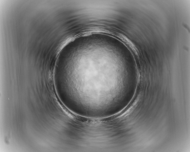 X0000094211385200710261202