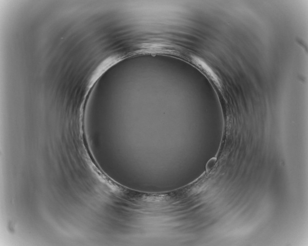X0000094211386200710261202