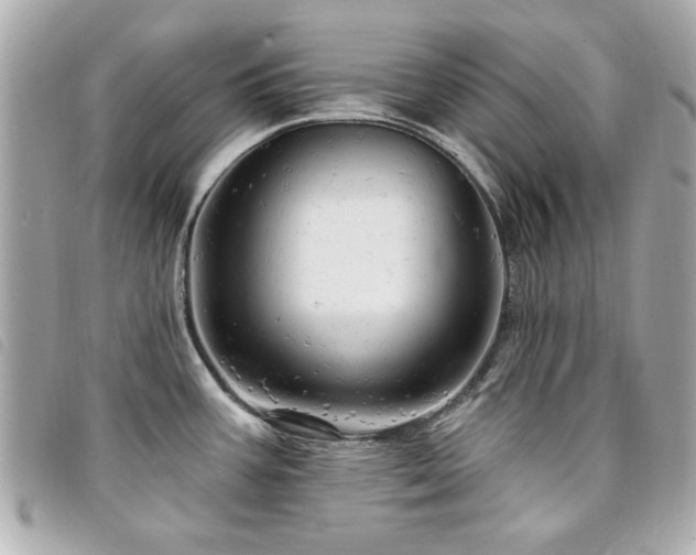 X0000094211387200710261202