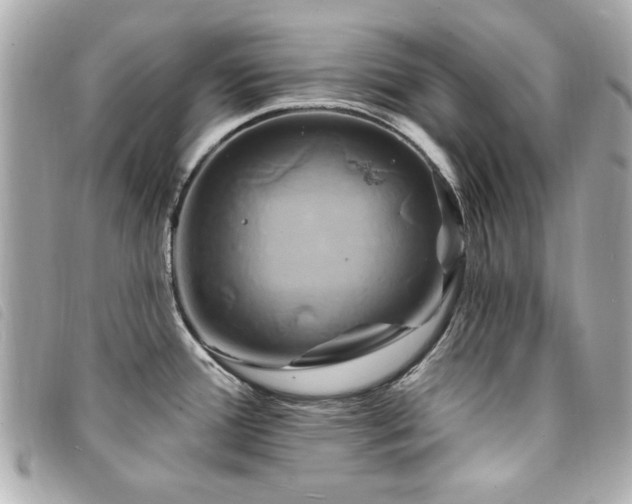 X0000094211388200710261202