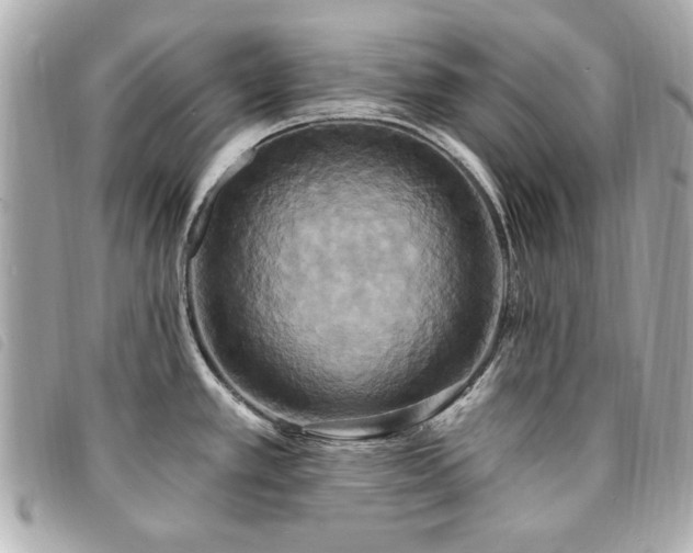 X0000094211389200710261202