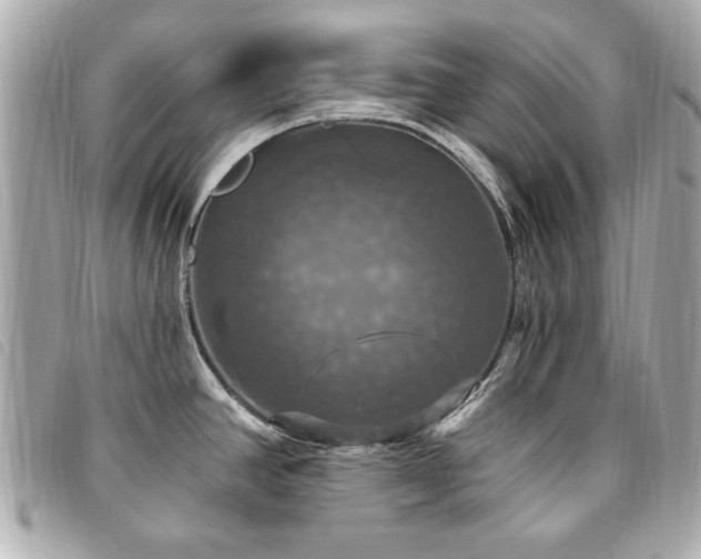 X0000094211390200710261202