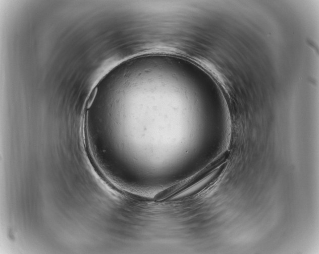 X0000094211391200710261202