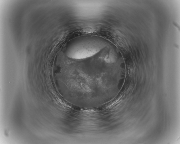 X0000094211393200710261201