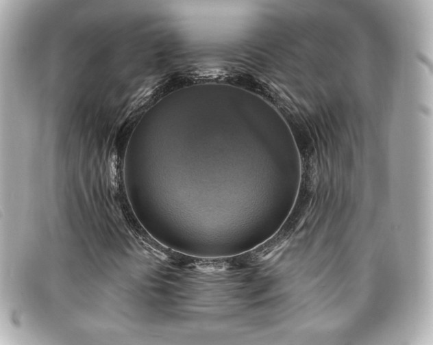X0000094211394200710261201