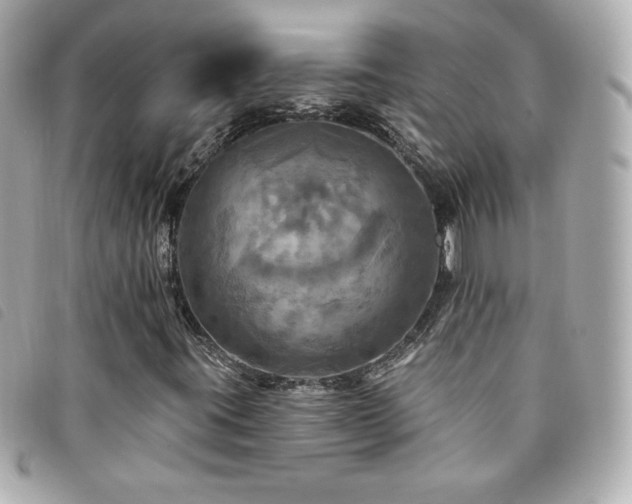 X0000094211395200710261201