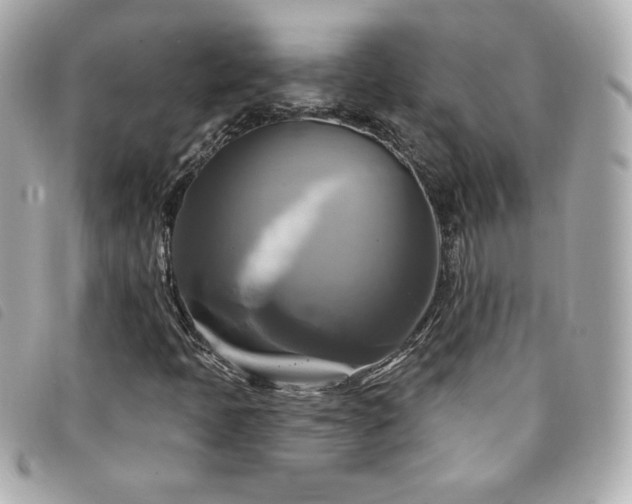 X0000094211397200710261201