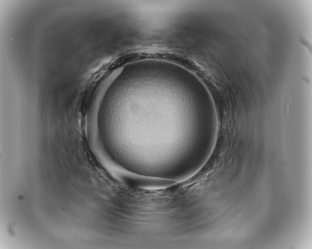 X0000094211398200710261201