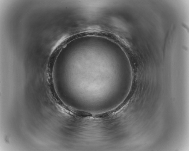X0000094211400200710261201