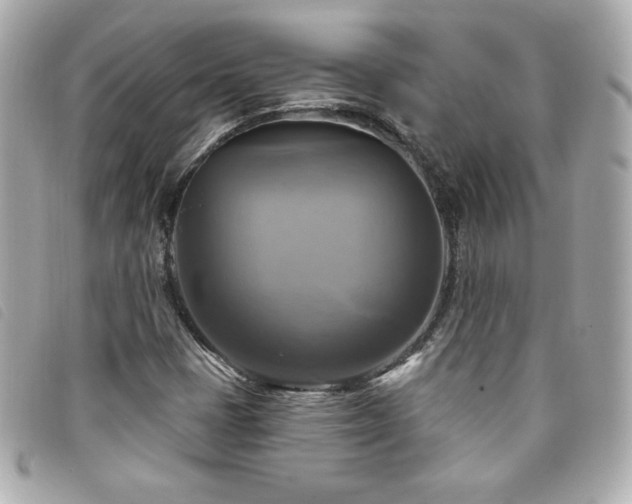 X0000094211401200710261201