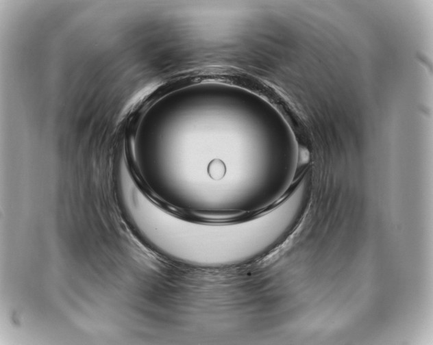 X0000094211402200710261201