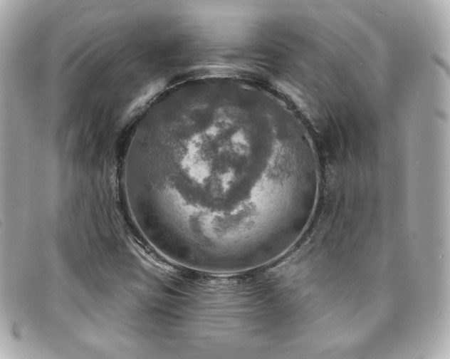 X0000094211403200710261201