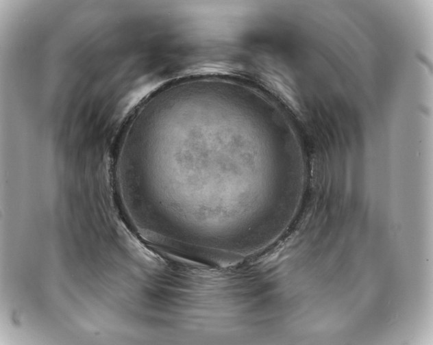 X0000094211404200710261201