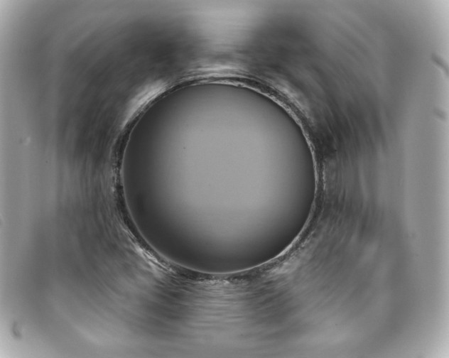 X0000094211405200710261201